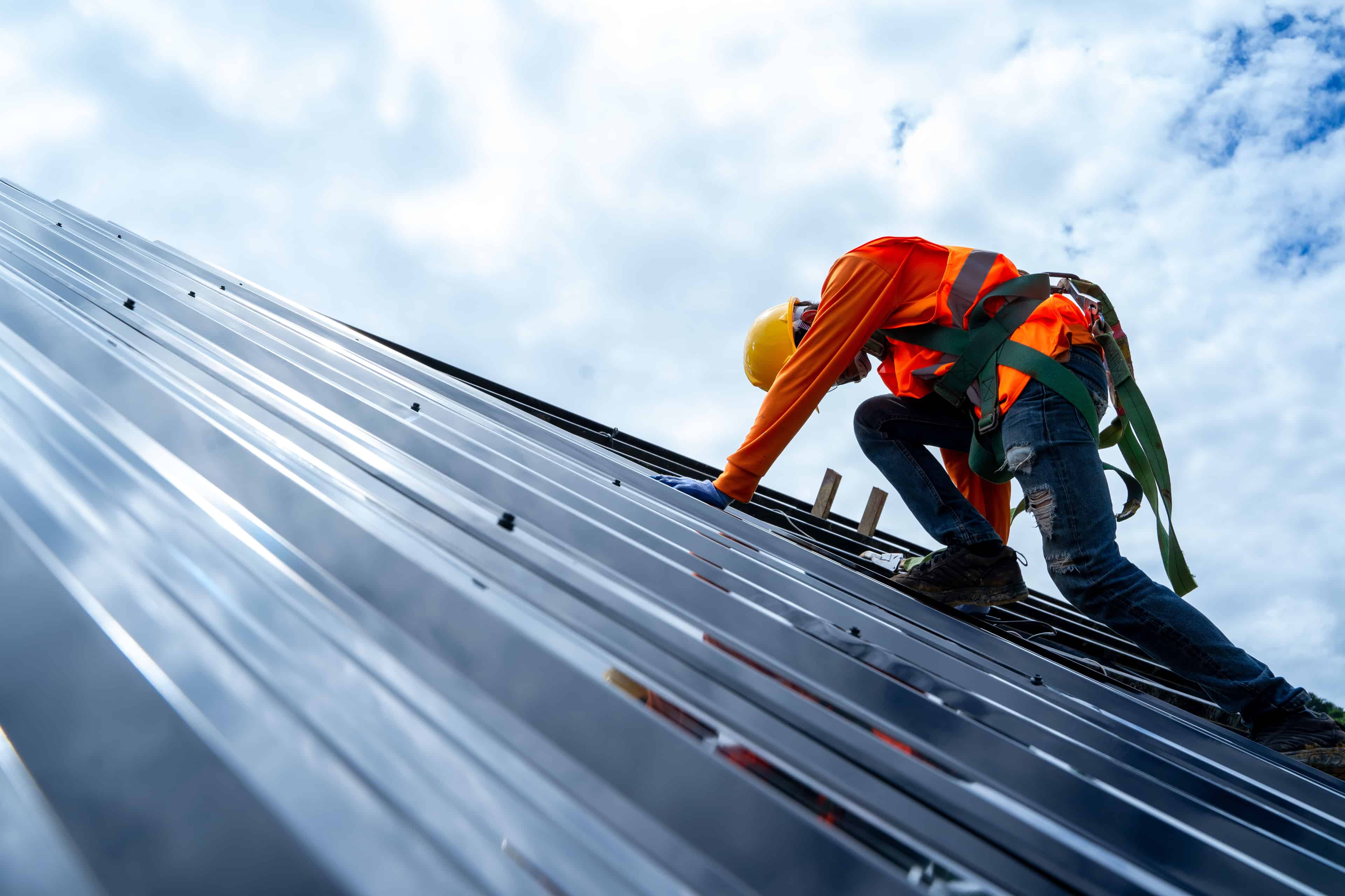 Metal Roofing image